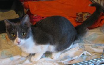 l Bild von Lili