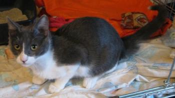 l Bild von Lili