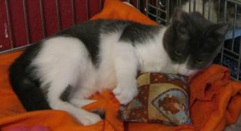 l Bild von Lili
