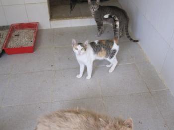 o Bild von Polly