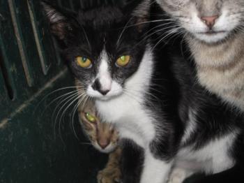o Bild von Tiny