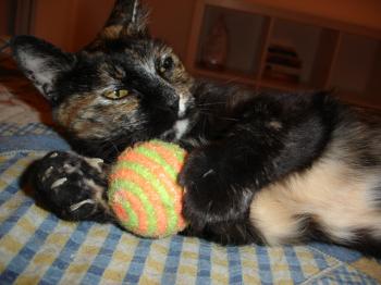 n Bild von Nena