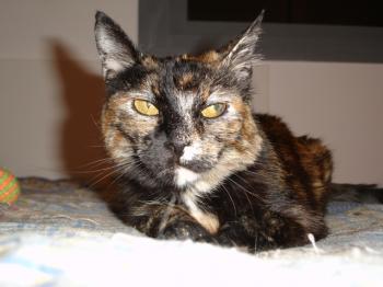 n Bild von Nena