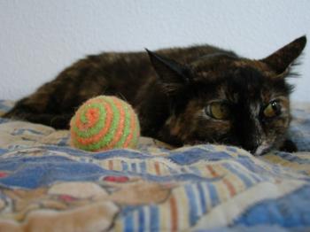 n Bild von Nena