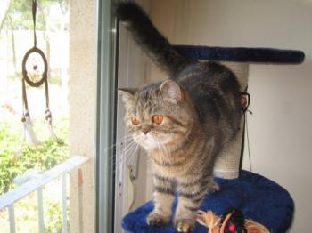 m Bild von Maya