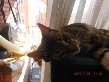c Bild von Cusi