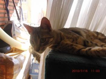 c Bild von Cusi