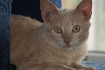 Sammy Bild von Sammy