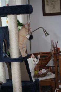 Sammy + Ava Bild von Sammy