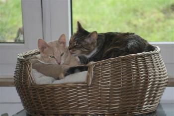 Sammy + Conchita Bild von Sammy