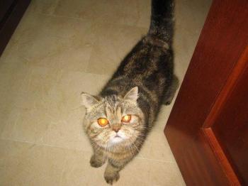 m Bild von Maya