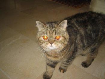 m Bild von Maya