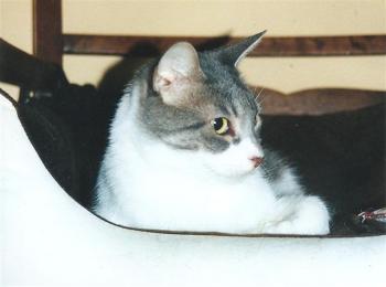 Mary-Osa Bild von Mary-Osa