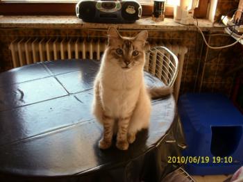 s Bild von Sammy