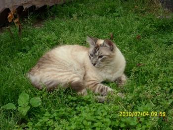 s Bild von Sammy