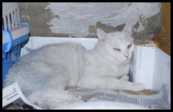 c Bild von Casper