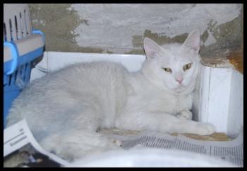 c Bild von Casper