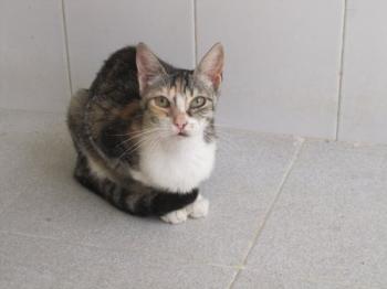 c Bild von Cindy
