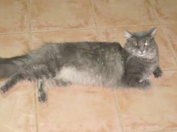 m Bild von Moris