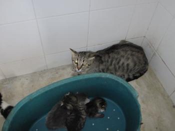 o Bild von Sukha+Babys