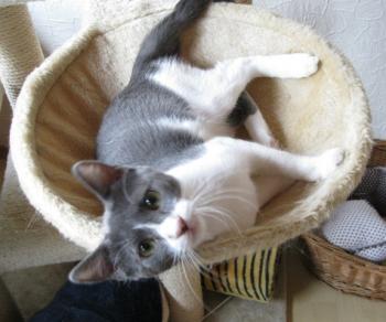 l Bild von Lili