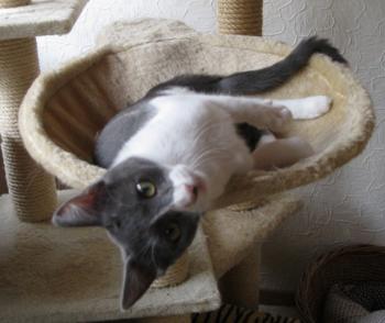l Bild von Lili