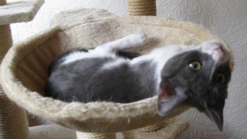 l Bild von Lili
