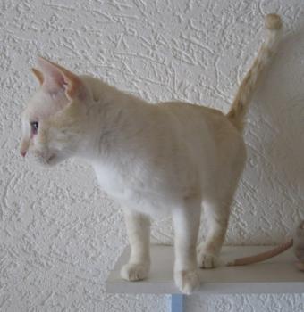 i Bild von Iker