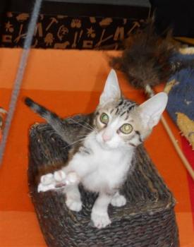 Bild von Lisa