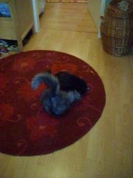 Sayako beim Toben Bild von Sayako