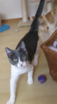 l Bild von Lili