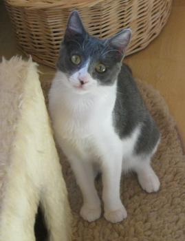 l Bild von Lili