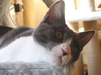 l Bild von Lili