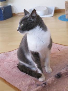 n Bild von Nelja