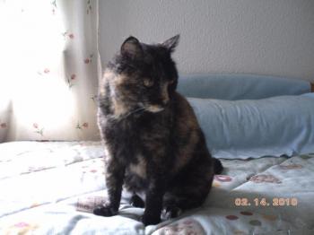 c Bild von Coral