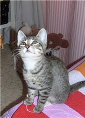 Lia Bild von Lia