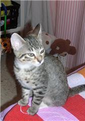 Lia Bild von Lia