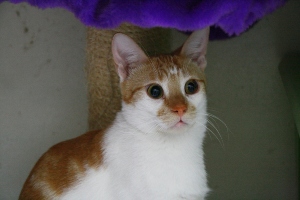 t Bild von Tino