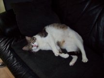 Bild von Anastasia