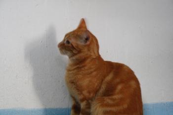 m Bild von Martinez - One