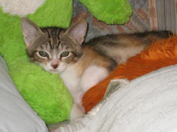 Gretel Bild von Gretel