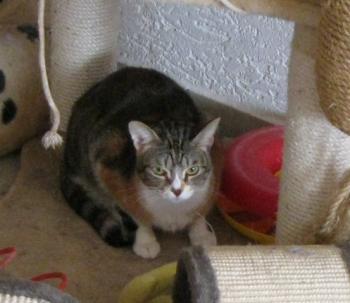 Gretel Bild von Gretel