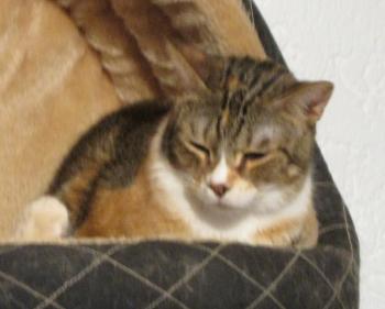 Gretel Bild von Gretel