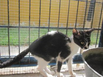 t Bild von Tiny