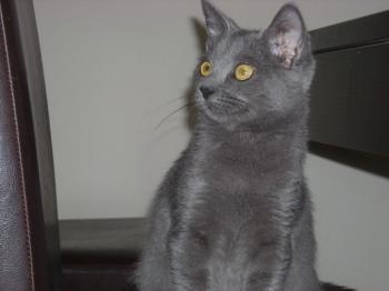 t Bild von Tyra