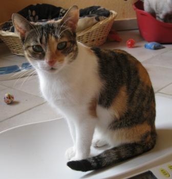 l Bild von Lilou