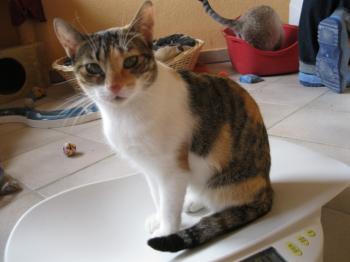 l Bild von Lilou