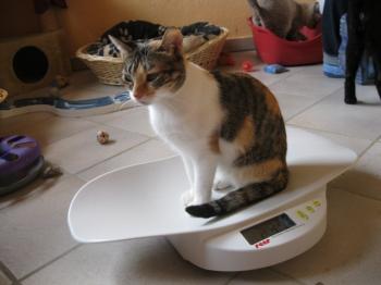 l Bild von Lilou