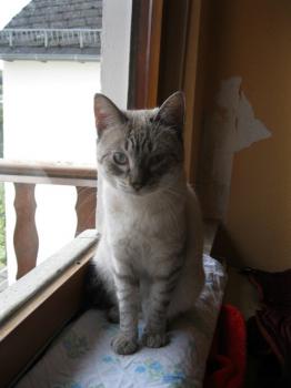 t Bild von Tino