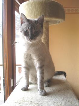 t Bild von Tino